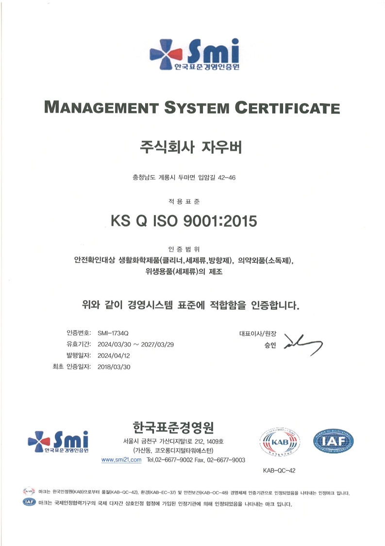 ISO 9001 (국문)
