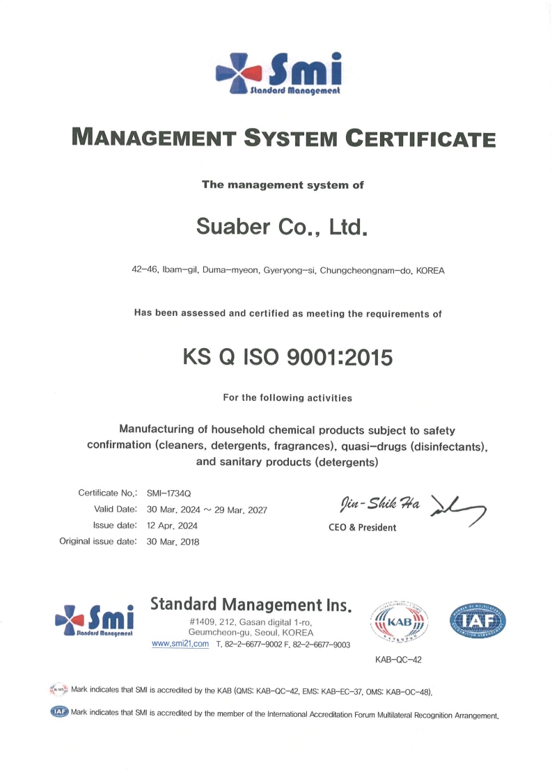 ISO 9001 (영문)